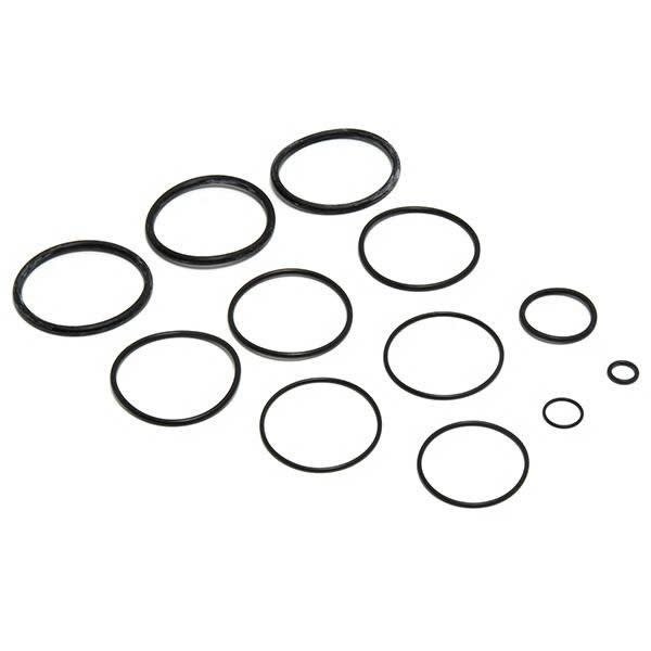 Jandy Pro Series O-Ring Replacement Kit | R0358000