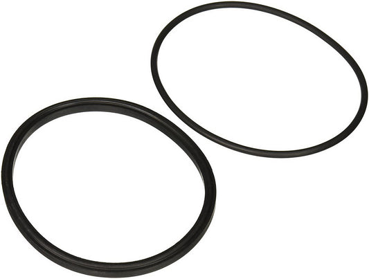 Jandy Pro Series Lid Seal & O-Ring | R0449100