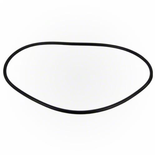 Jandy Pro Series FHP Backplate O-Ring | R0480300