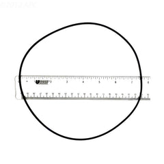 SEAL RING