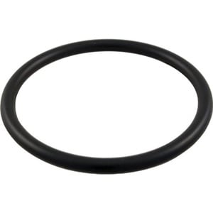 Pentair 2" Bulkhead O-Ring | 154492