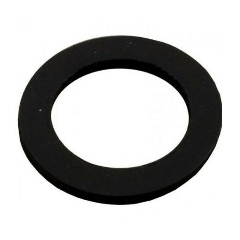 Pentair SD15/19/22 Sand Drain Gasket | 154713