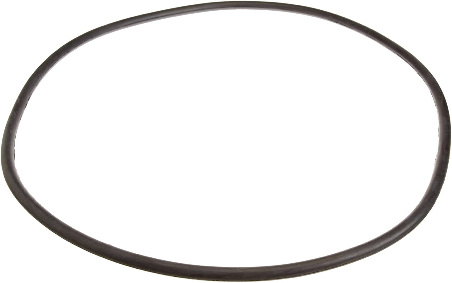 A Pentair 21" Tank Cord Ring (24850-0008) in black rubber is displayed against a white background.