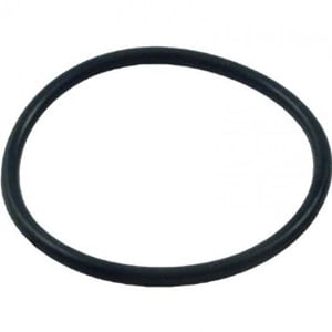 Pentair #2-227 2" PVC Slide Valve Piston O-Ring | 273062