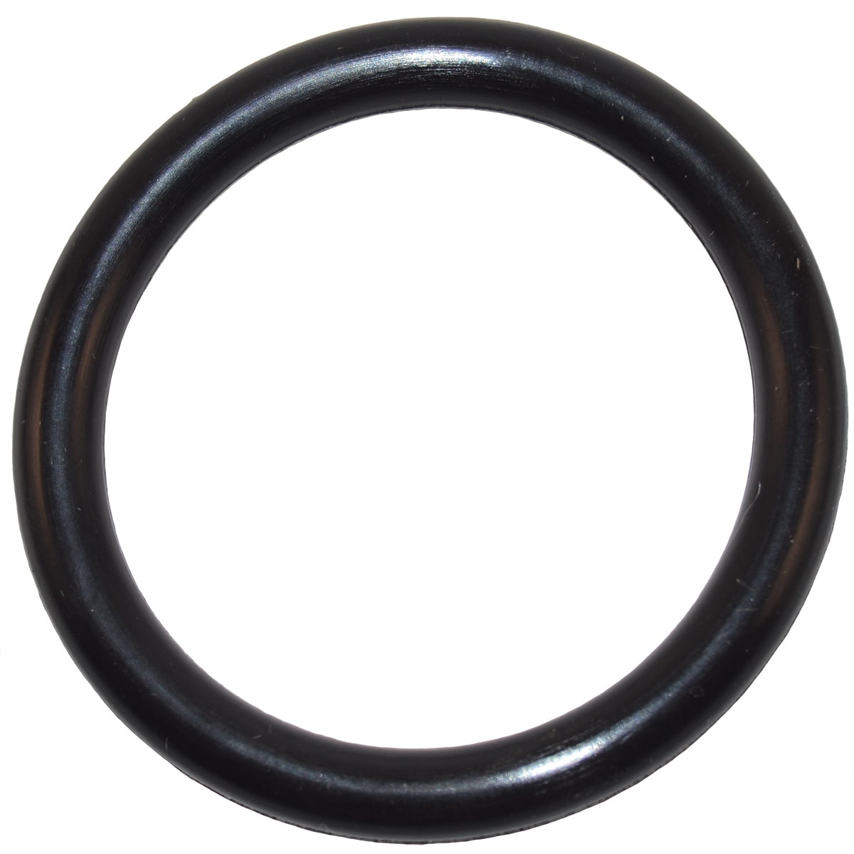 Pentair 2" PVC Slide Valve O-Ring | 273090