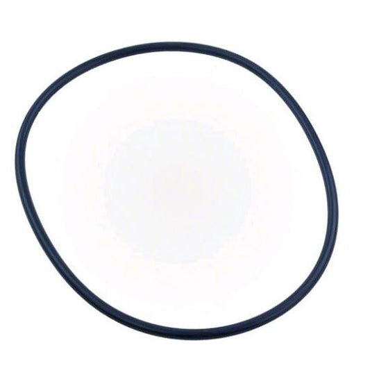 Pentair WhisperFloXF Seal Plate O-Ring | 351446