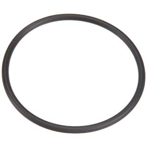 Pentair Sta-Rite System 3 Bulkhead O-Ring | 35505-1425