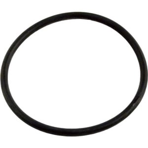 Pentair Challenger Strainer Pot Flange O-Ring | 355330