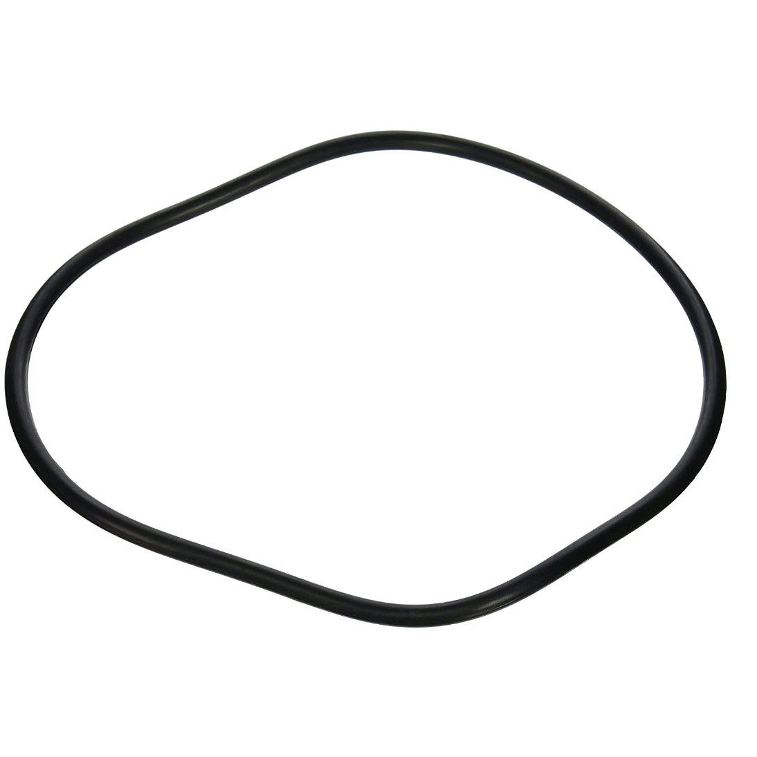 Pentair EQ Series Seal Plate O-Ring | 356780