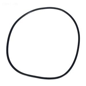 A thin, black, irregularly shaped circle on a white background resembles the Pentair Tank Clamp O-Ring (39010200Z), an OEM replacement part.