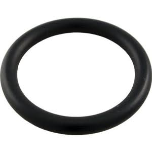 Pentair Drain Plug O-Ring | 51005000