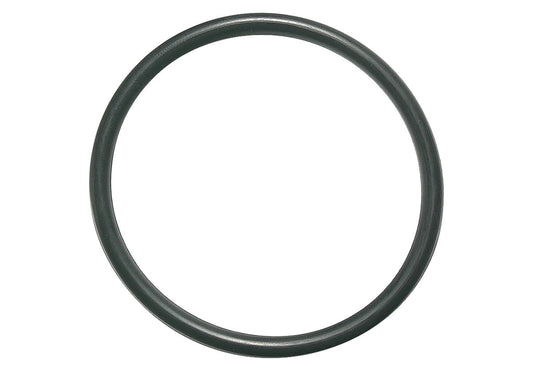 Pentair SuperFlo Union Adapter O-Ring | 6020018