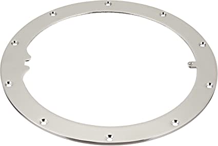 Pentair 10-Hole Standard Liner Sealing Ring | 79200200