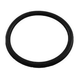 Pentair Bulkhead O-Ring | 86006900