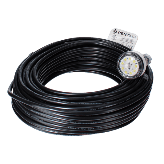 Pentair MicroBrite White LED Light 12V, 100' Cord | EC-620429