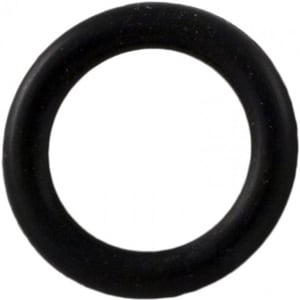 Pentair Booster Pump O-Ring Drain Plug | LA375