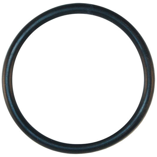 Pentair Max-E-Pro/Dyna-Pro Diffuser O-Ring | U9-374Z