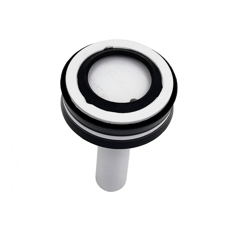 PISTON ASSEMBLY