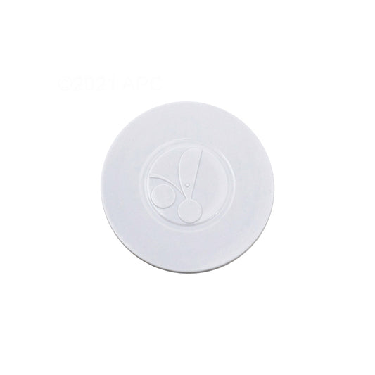 HUB CAP-POLARIS