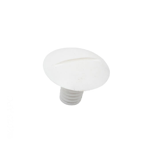POLARIS WHEEL SCREW