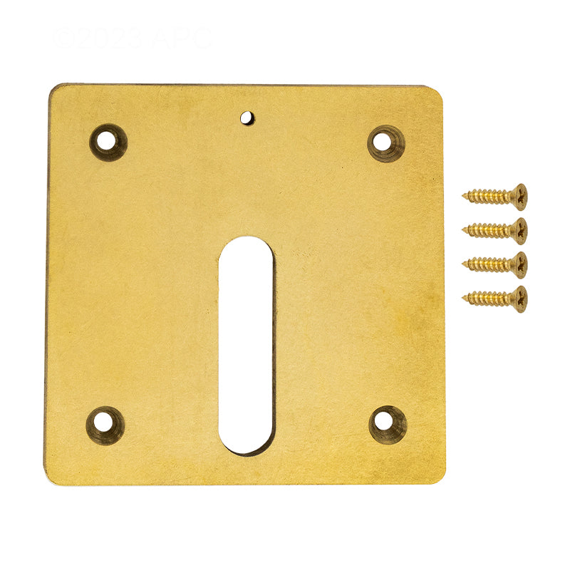 BRASS MINI JET COVER PLATE W/ SCREWS