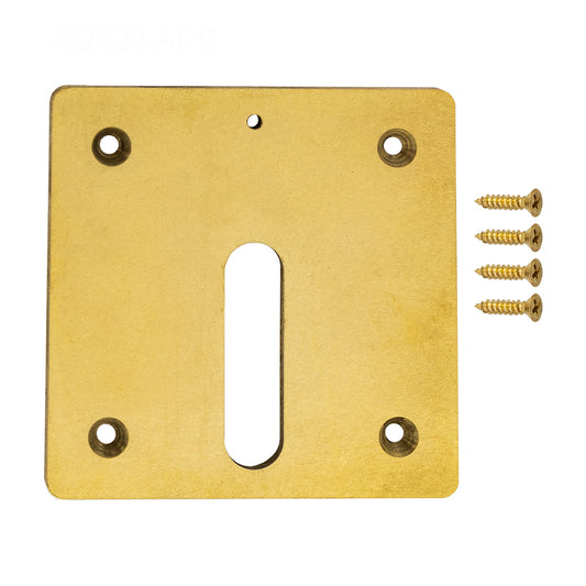 BRASS MINI JET COVER PLATE W/ SCREWS