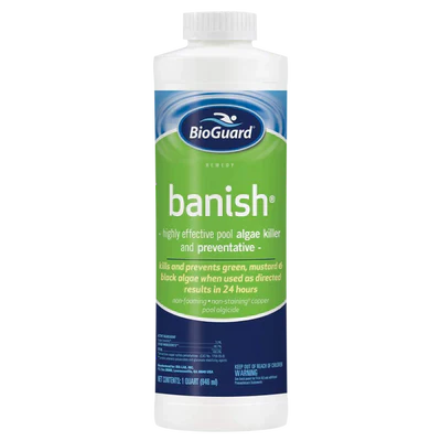 Poolife Algaecide 90 | 62088