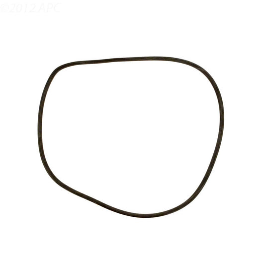 Jandy Pro Series Tank O-Ring | R0357800