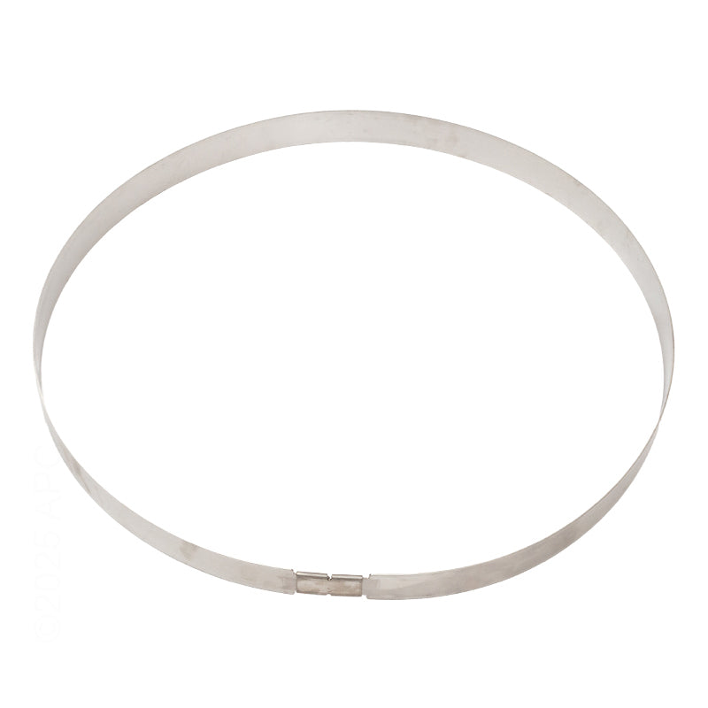 Jandy Pro Series Ring, Retaining, Large | R0405200