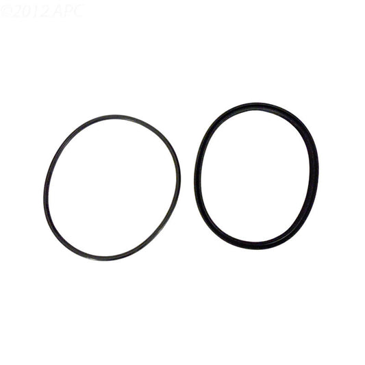 Jandy Pro Series Lid Seal & O-Ring | R0449100