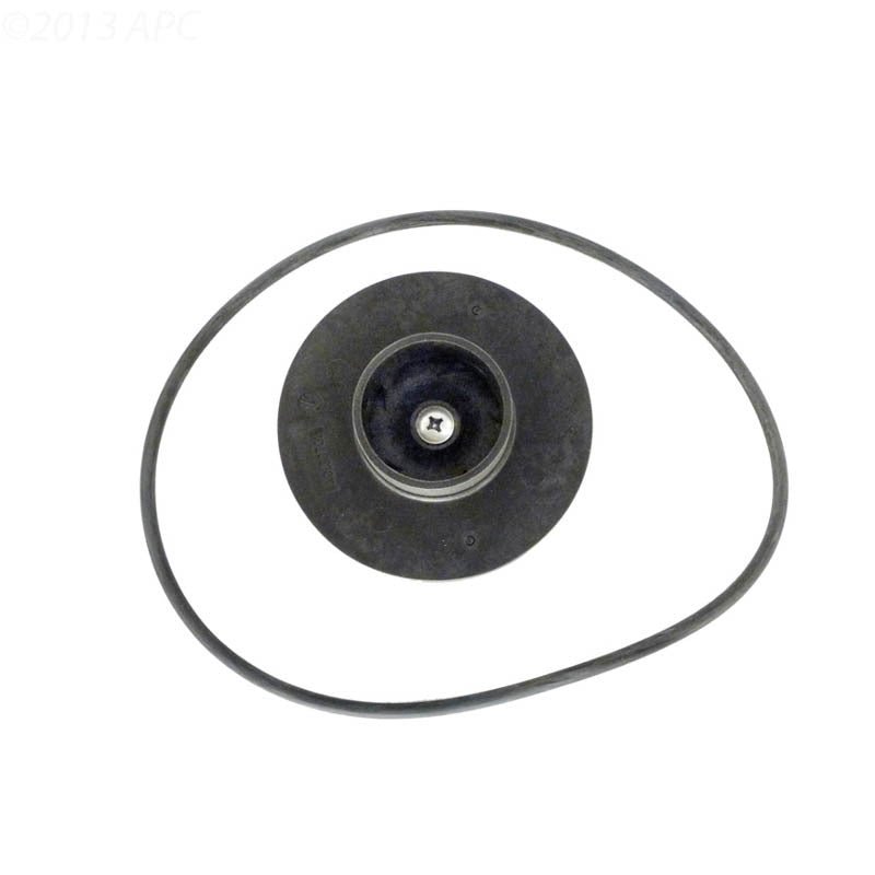 Jandy Impeller & Screw w/ O-Ring & Backplate O-Ring | R0479601