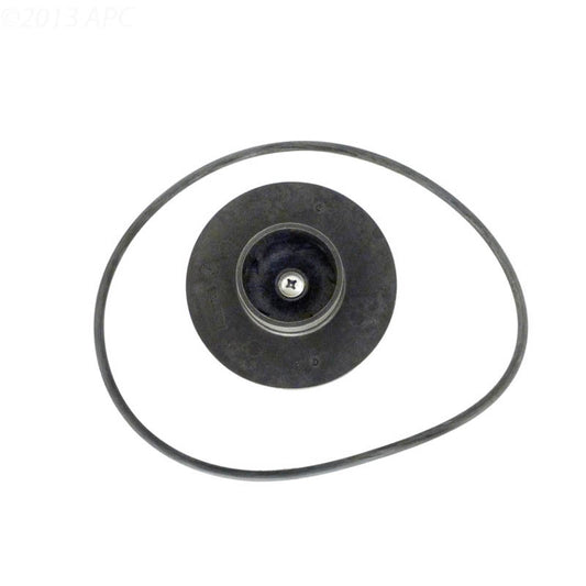 Jandy Impeller & Screw w/ O-Ring & Backplate O-Ring | R0479601
