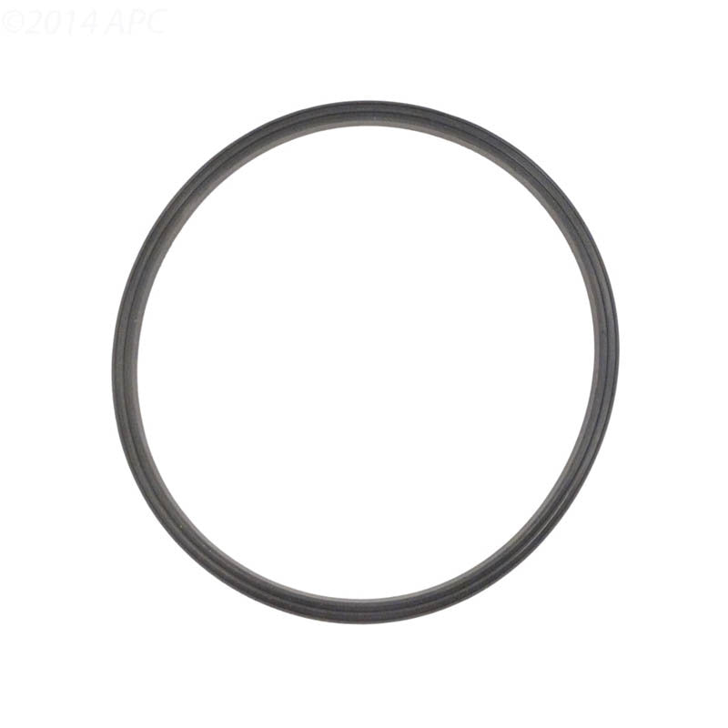 Jandy Sand Filter Lid Seal O-Ring | R0487400