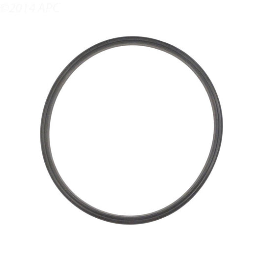 Jandy Sand Filter Lid Seal O-Ring | R0487400