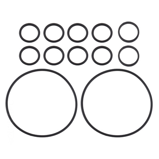 Jandy Never Lube Backwash Valve O-Ring Kit | R0552400