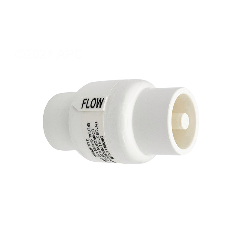 Pentair 1-1/2" to 2" Valve Check | R172288