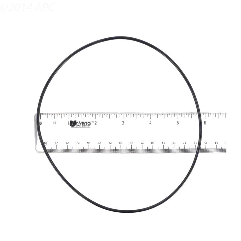PUMP BODY O RING