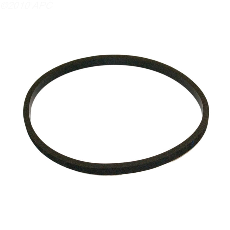 Hayward Strainer Cover Gasket | SPX0125T