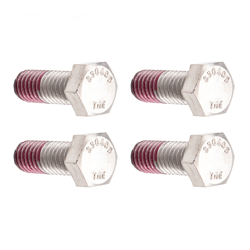 Hayward Motor Cap Screws, 4/Pack | SPX0125Z44