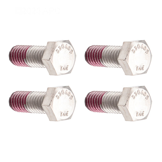 Hayward Motor Cap Screws, 4/Pack | SPX0125Z44