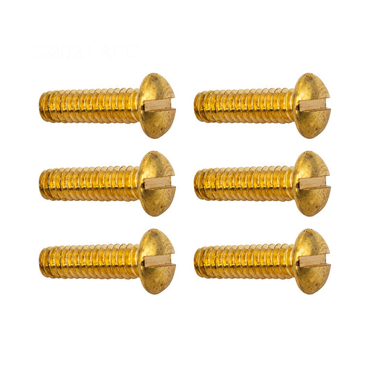 Hayward Underwater Light Securing Rim Screws, 6/Pack | SPX0502Z66