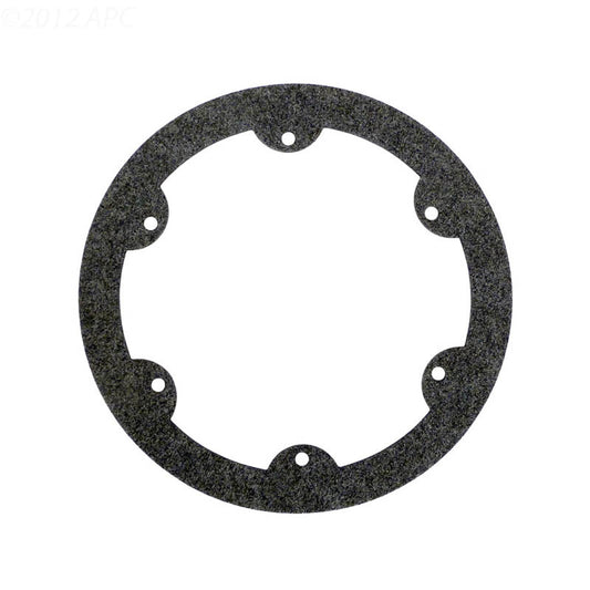 Hayward Face Ring Gasket | SPX0608G