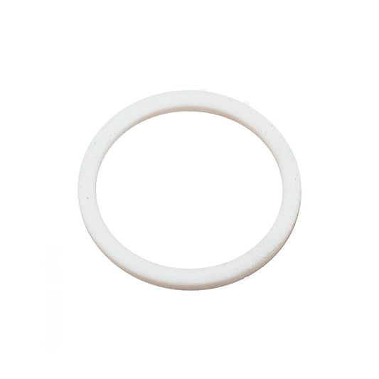 Hayward Teflon Ball Seal, 2/Pack | SPX0720P2