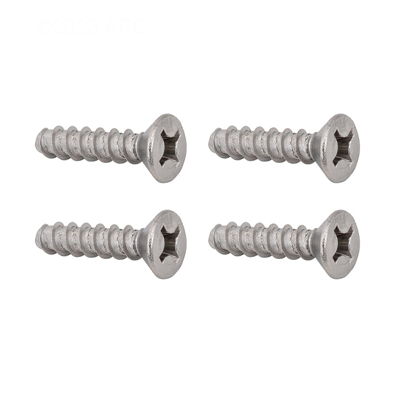 Hayward Screw Set, 4/Pack | SPX1039Z1A
