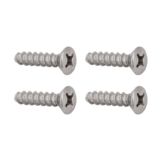 Hayward Screw Set, 4/Pack | SPX1039Z1A