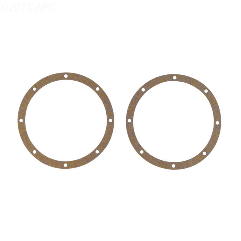 Hayward SP1048 Gasket, 2/Pack | SPX1048DPAK2