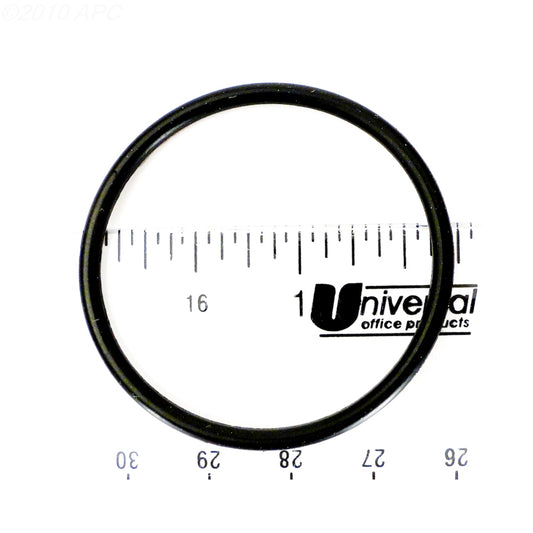 Hayward Union O-Ring | SPX1491B