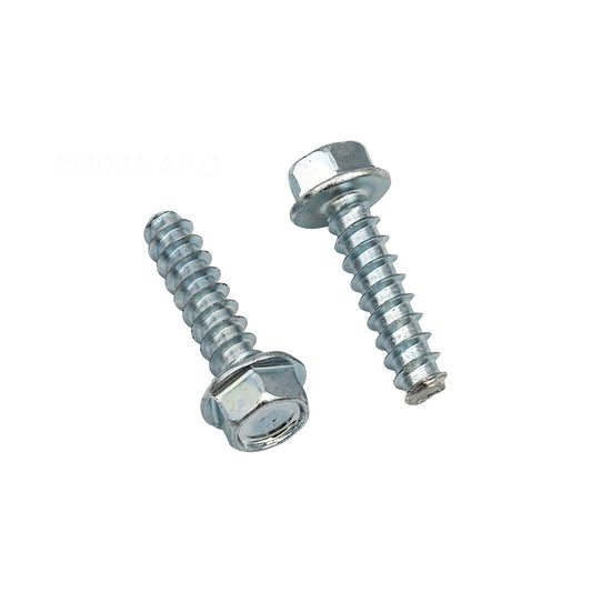 Hayward Mounting Foot Cap Screw, 2/Pack | SPX1600Z52
