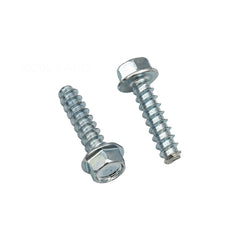 Hayward Mounting Foot Cap Screw, 2/Pack | SPX1600Z52