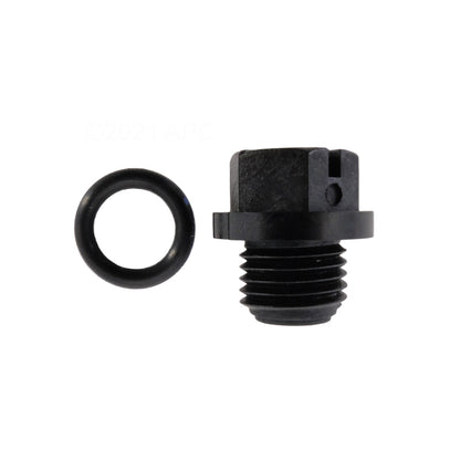 Hayward Pipe Plug w/ Gasket | SPX1700FG